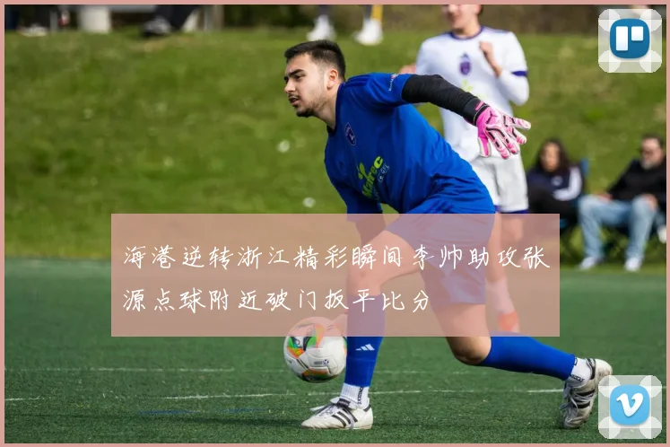 海港逆转浙江精彩瞬间李帅助攻张源点球附近破门扳平比分